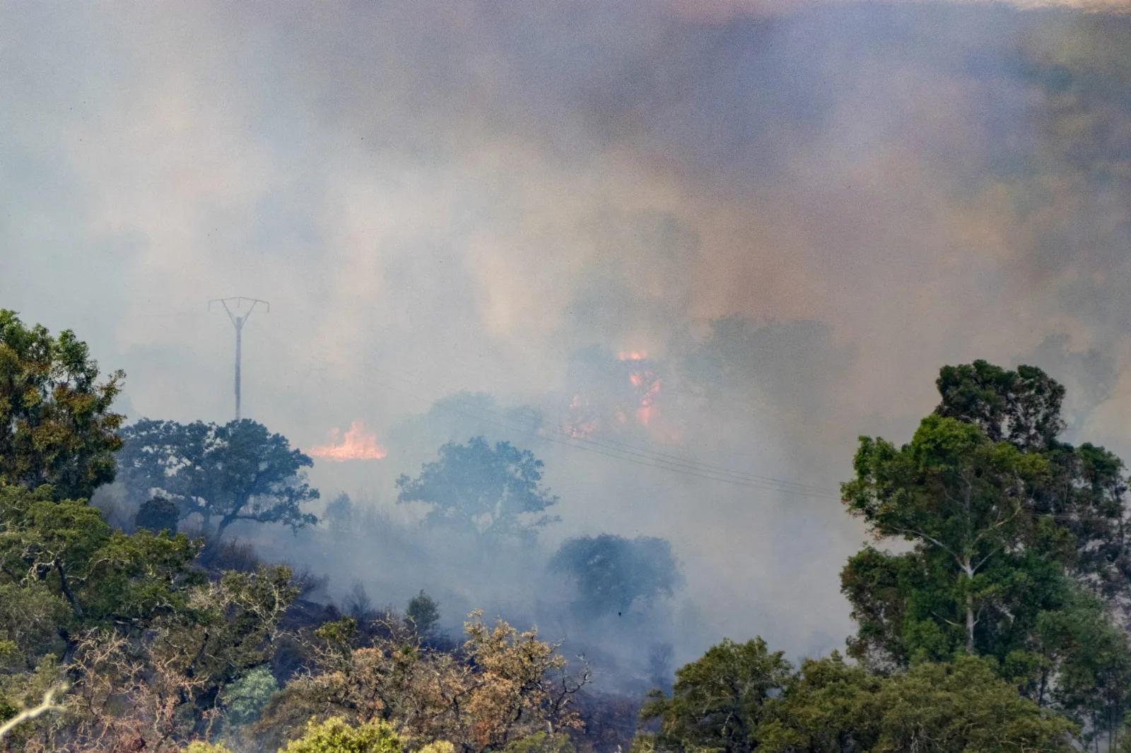 Bosque mediterráneo en llamas con humo denso elevándose sobre colinas arboladas