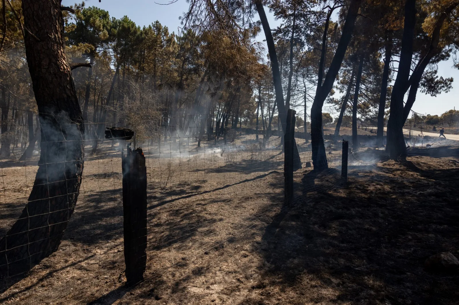 Se triplican los grandes incendios forestales en España en lo que va del año